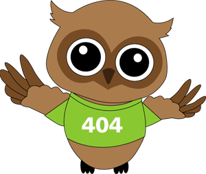 404 Error Owl