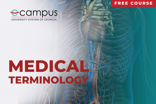 eCampus promotional graphic for a free 'Medical Terminology' course displaying an anatomical illustration of the human torso with highlighted internal systems.